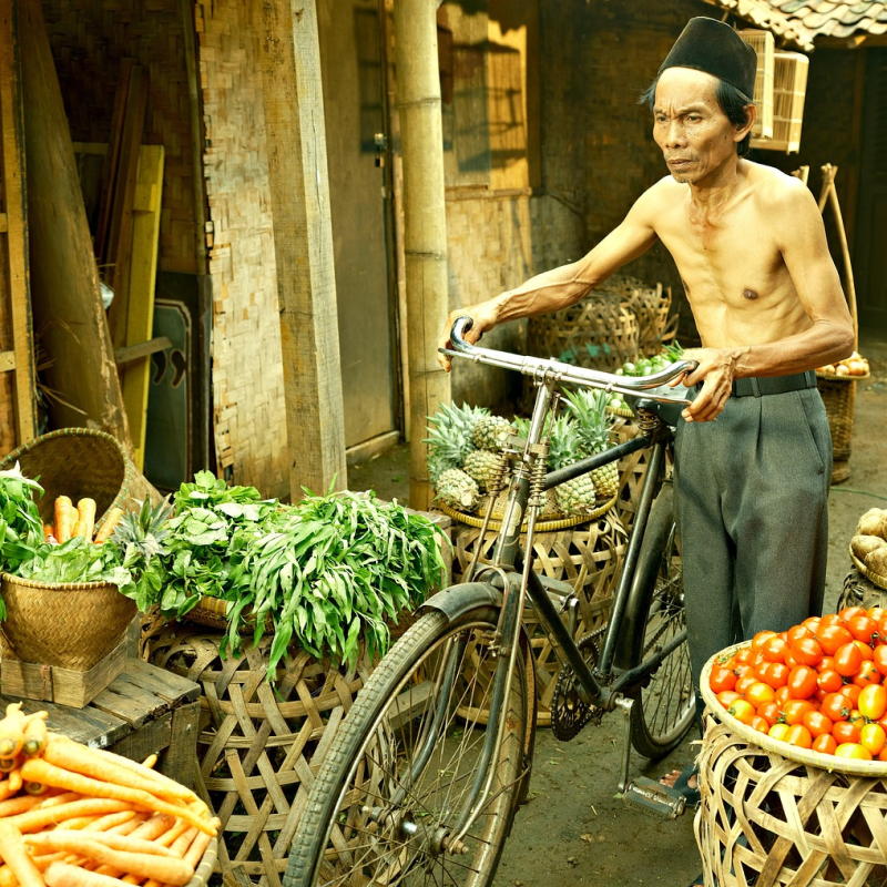 Traditional market 8456417 12801
