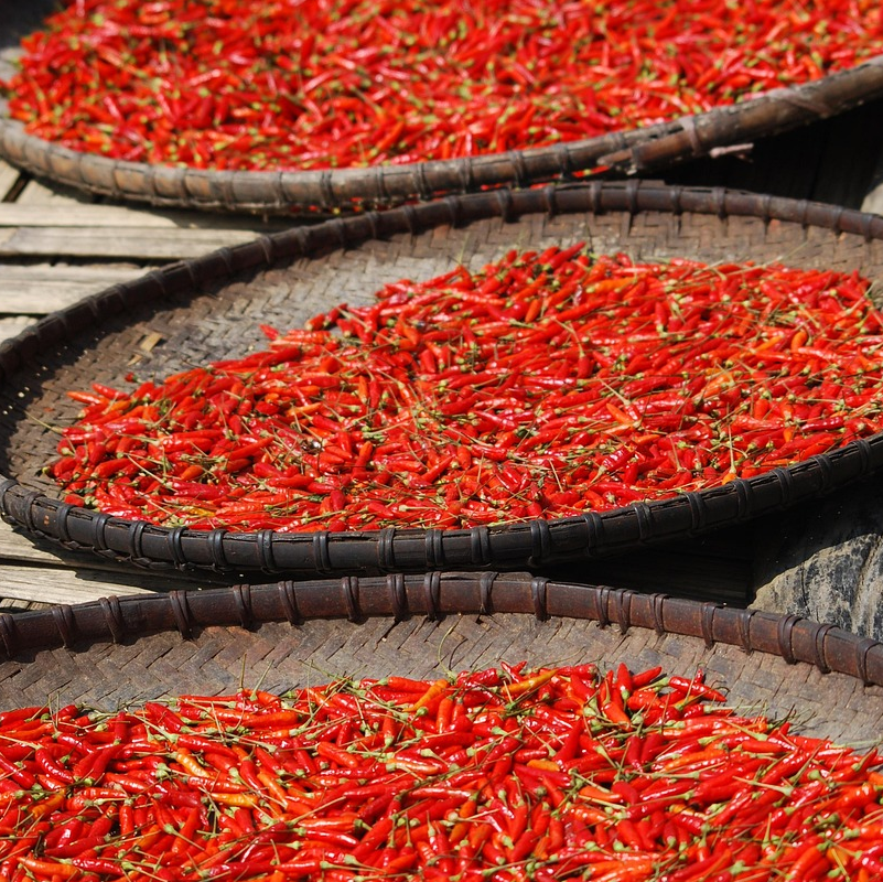 Fresh chilli 4220708 12801