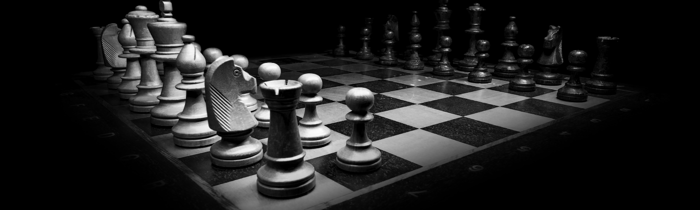 Felix mittermeier chess cover