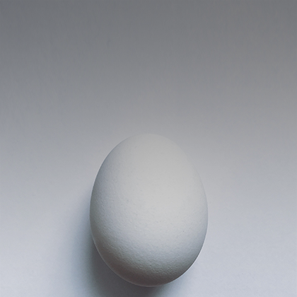 Egg 420