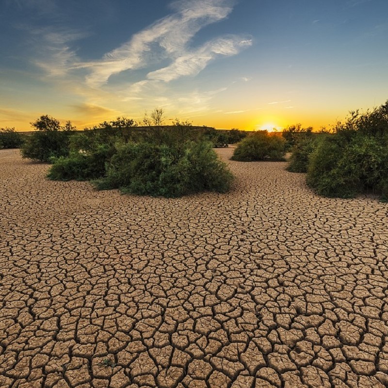 Drought 800 x 800